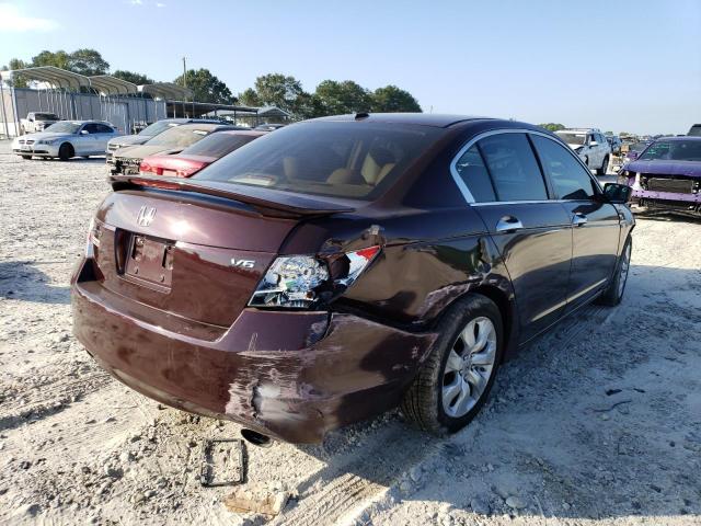 1HGCP36898A084270 - 2008 HONDA ACCORD EXL BURGUNDY photo 3