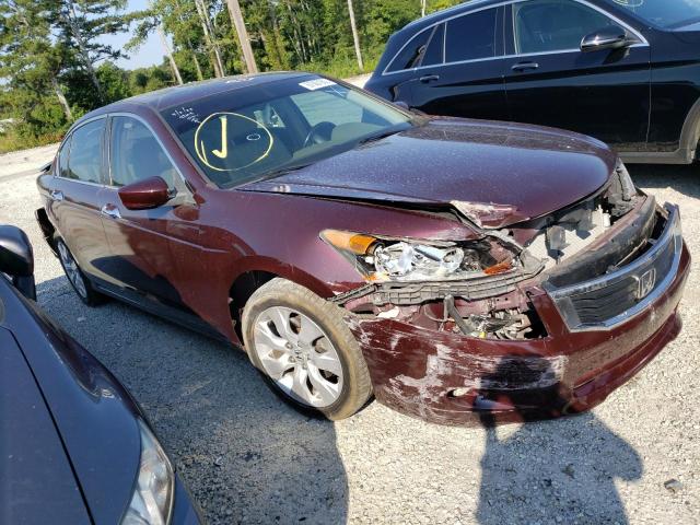 1HGCP36898A084270 - 2008 HONDA ACCORD EXL BURGUNDY photo 4