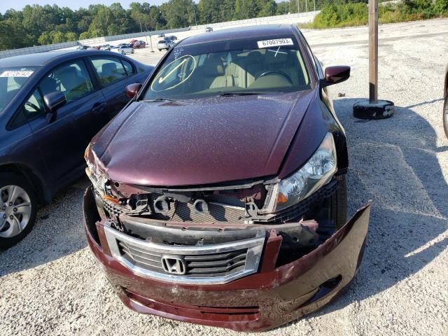 1HGCP36898A084270 - 2008 HONDA ACCORD EXL BURGUNDY photo 5