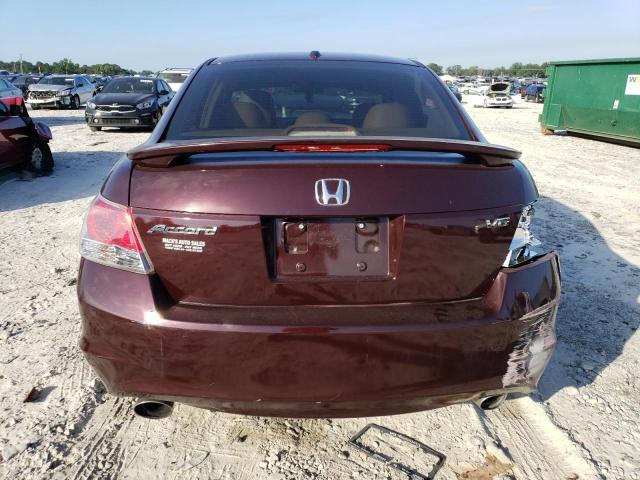 1HGCP36898A084270 - 2008 HONDA ACCORD EXL BURGUNDY photo 6