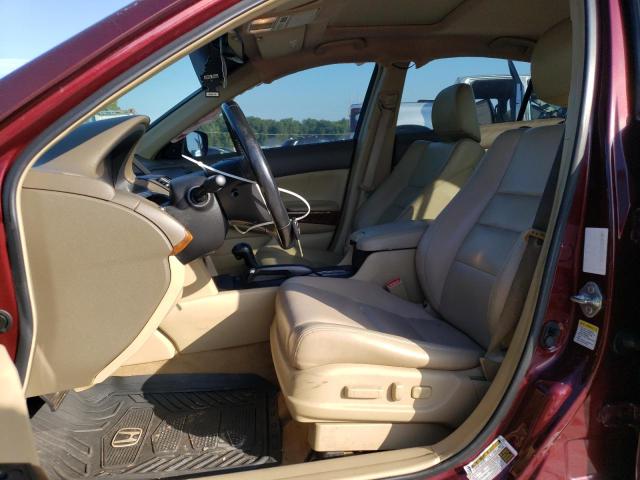 1HGCP36898A084270 - 2008 HONDA ACCORD EXL BURGUNDY photo 7