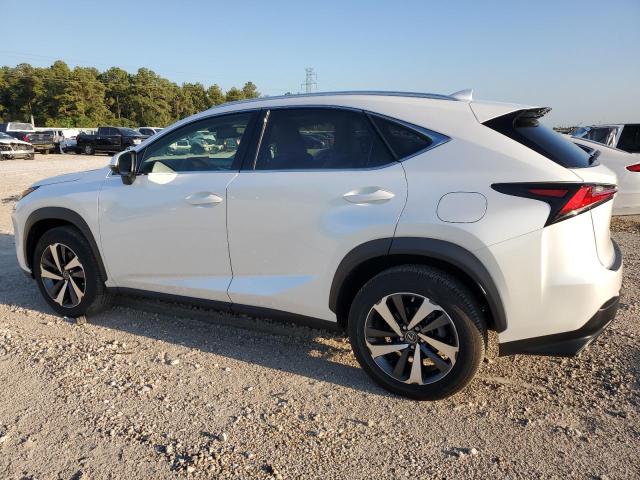 JTJGARBZXM5020838 - 2021 LEXUS NX 300 BASE Ağ foto 2