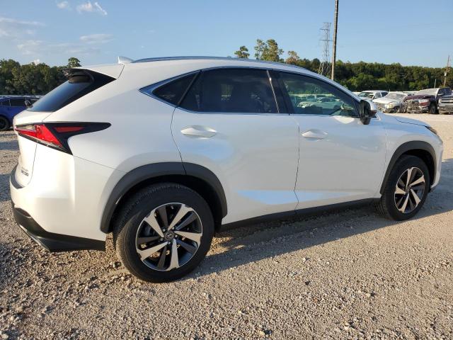 JTJGARBZXM5020838 - 2021 LEXUS NX 300 BASE Ağ foto 3