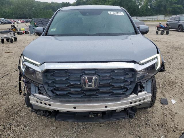 5FNYF8H52RB020488 - 2024 HONDA PASSPORT EXL BLUE photo 5