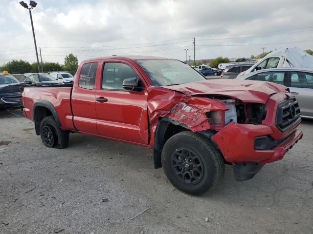 5TFSZ5AN8LX221623 - 2020 TOYOTA TACOMA ACCESS CAB წითელი ფოტო 4