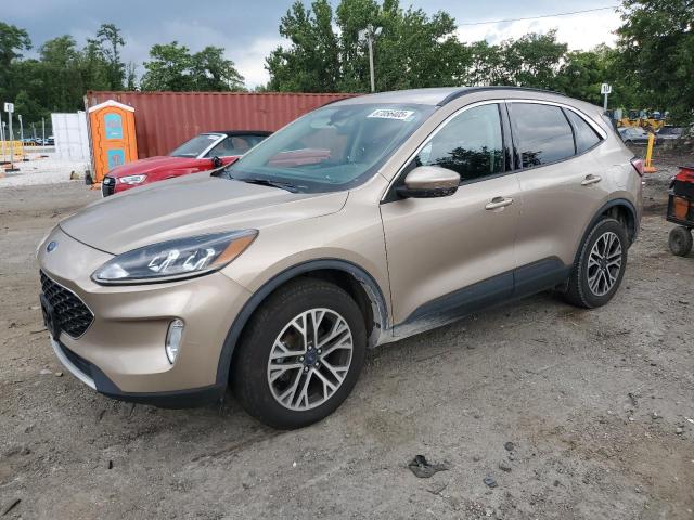 2020 FORD ESCAPE SEL, 