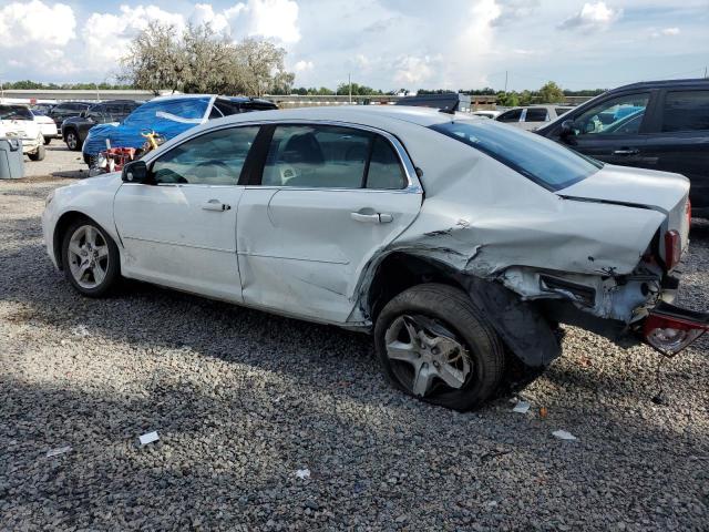 1G1ZA5E08AF174609 - 2010 CHEVROLET MALIBU LS 白色 照片 2