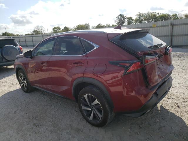 JTJYARBZ7K2129874 - 2019 LEXUS NX 300 BASE 红色 照片 2