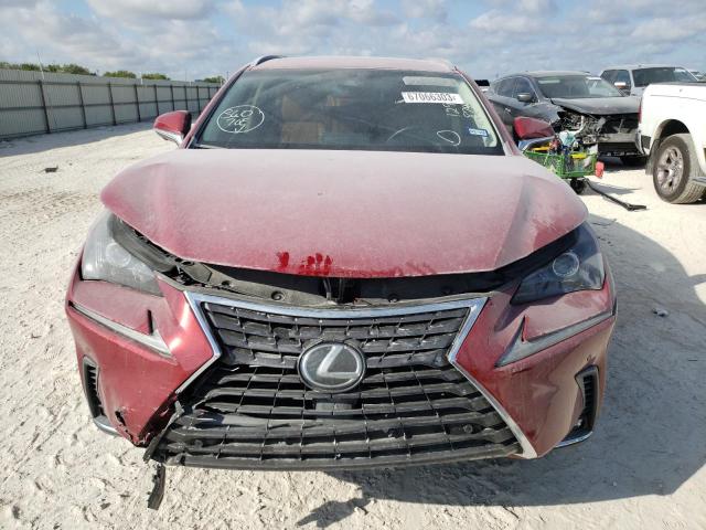 JTJYARBZ7K2129874 - 2019 LEXUS NX 300 BASE 红色 照片 5