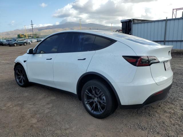 7SAYGDED3SF320227 - 2025 TESLA MODEL Y 白色 照片 2