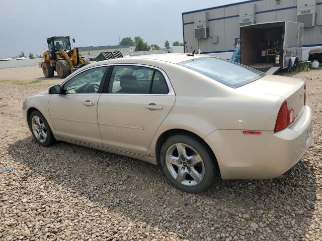 1G1ZH57B39F231787 - 2009 CHEVROLET MALIBU 1LT BEIGE photo 2