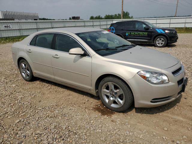 1G1ZH57B39F231787 - 2009 CHEVROLET MALIBU 1LT BEIGE photo 4