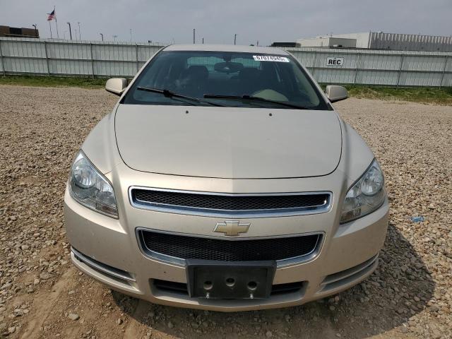1G1ZH57B39F231787 - 2009 CHEVROLET MALIBU 1LT BEIGE photo 5