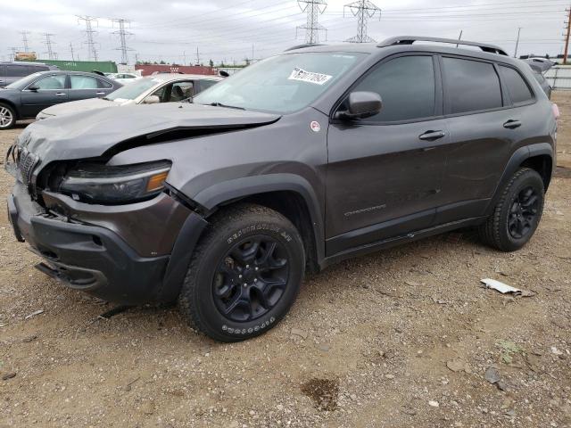 1C4PJMBX0LD607896 - 2020 JEEP CHEROKEE TRAILHAWK GRAY photo 1
