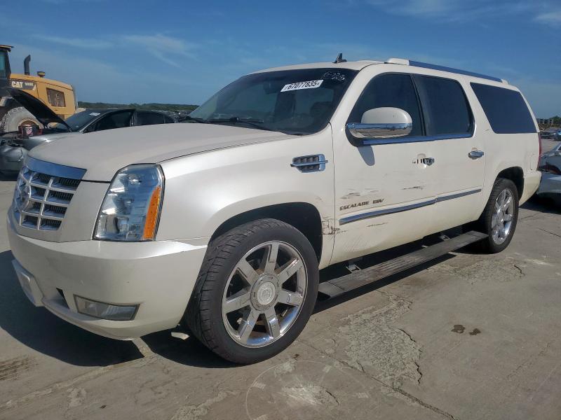 2010 CADILLAC ESCALADE ESV PREMIUM, 