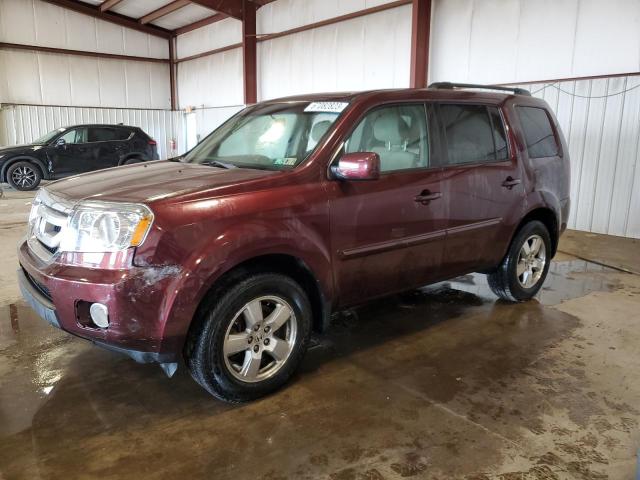 5FNYF4H42BB039595 - 2011 HONDA PILOT EX BURGUNDY photo 1