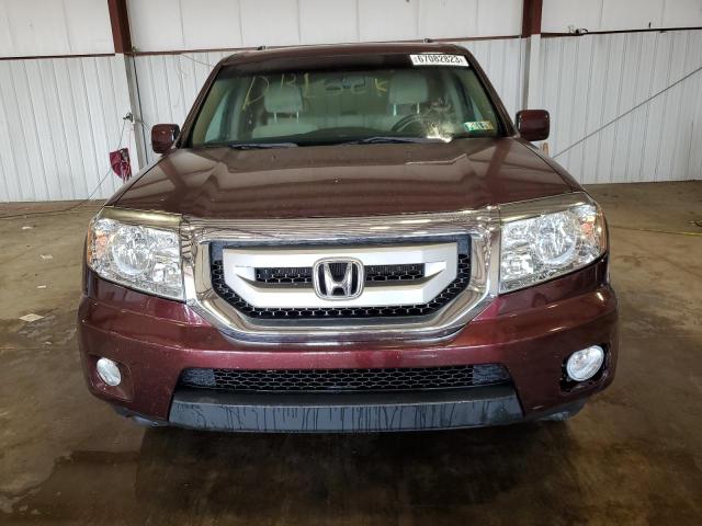 5FNYF4H42BB039595 - 2011 HONDA PILOT EX BURGUNDY photo 5