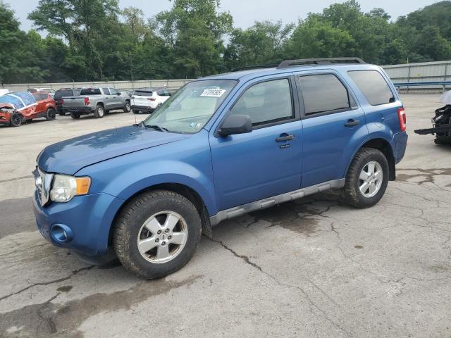 2009 FORD ESCAPE XLT, 