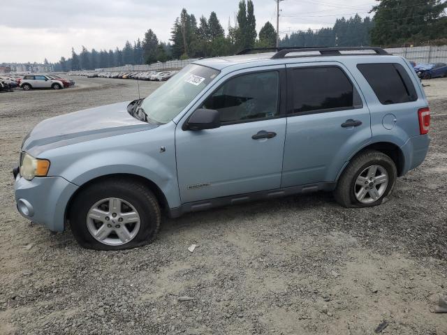 2008 FORD ESCAPE HEV, 