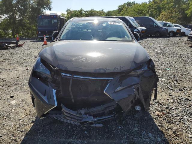 JTJGARDZ0M2257904 - 2021 LEXUS NX 300 BASE Grafit foto 5