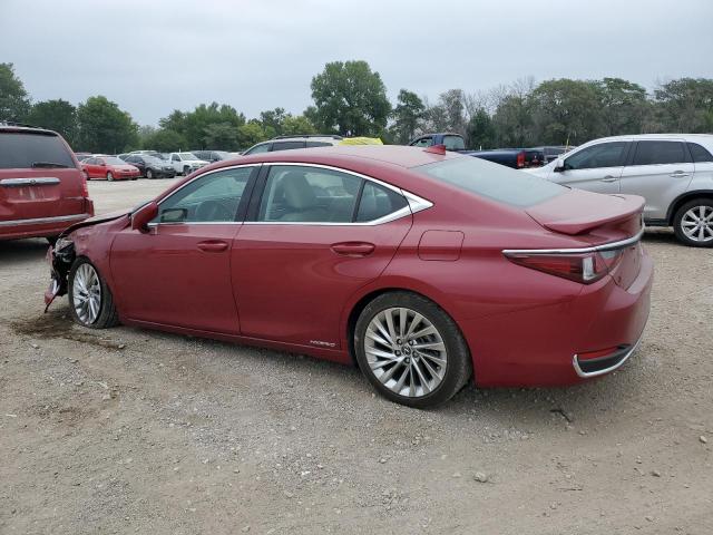 58AE21B14LU007045 - 2020 LEXUS ES 300H LUXURY RED photo 2