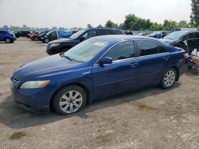 2007 TOYOTA CAMRY HYBRID, null