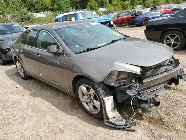 1G1ZC5EB5AF113584 - 2010 CHEVROLET MALIBU 1LT GOLD photo 4