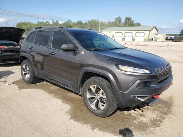 1C4PJMBS6EW189680 - 2014 JEEP CHEROKEE TRAILHAWK ნაცრისფერი ფოტო 4