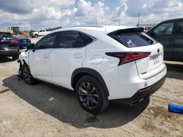 JTJYARBZ1K2119034 - 2019 LEXUS NX 300 BASE Ağ foto 2