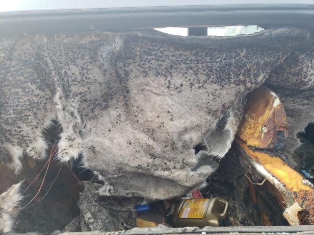 JTMBF4DV4A5020731 - 2010 TOYOTA RAV4 BURN photo 10