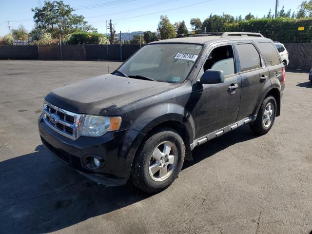 2011 FORD ESCAPE XLT, 