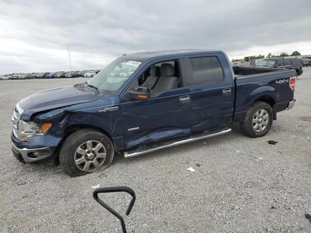 2014 FORD F150 SUPERCREW, 