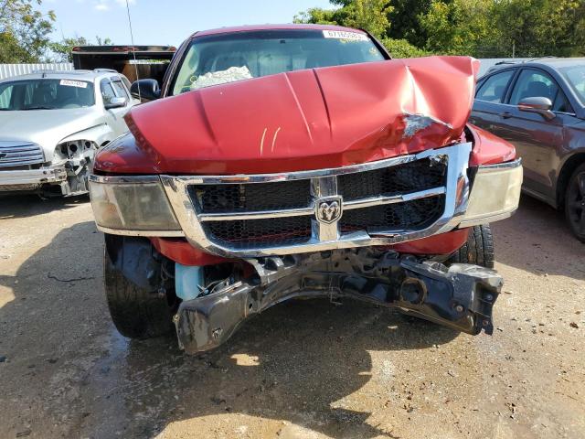 1D7HE42K68S528450 - 2008 DODGE DAKOTA SLT RED photo 5