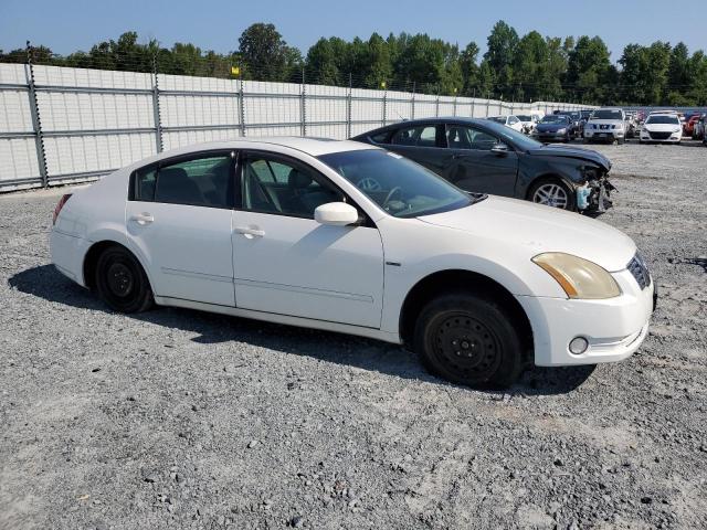 1N4BA41E64C850023 - 2004 NISSAN MAXIMA SE WHITE photo 4