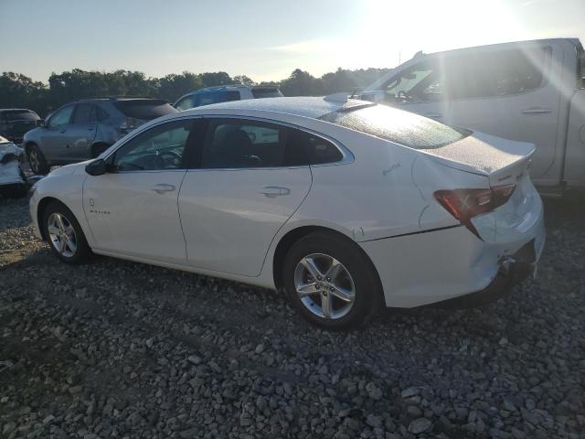 1G1ZD5ST4PF225442 - 2023 CHEVROLET MALIBU LT 白色 照片 2