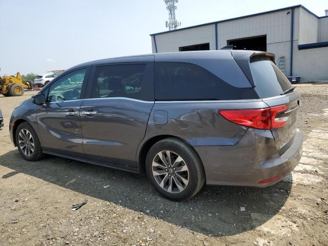5FNRL6H69PB058114 - 2023 HONDA ODYSSEY EXL ნაცრისფერი ფოტო 2