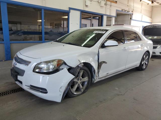 1G1ZC5E19BF237690 - 2011 CHEVROLET MALIBU 1LT 白色 照片 1