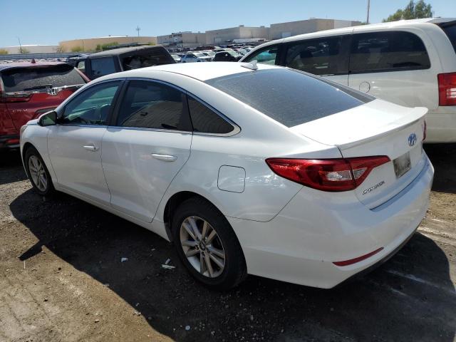 5NPE24AF3GH388526 - 2016 HYUNDAI SONATA SE WHITE photo 2