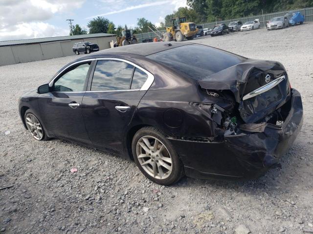 1N4AA5AP3AC839558 - 2010 NISSAN MAXIMA S PURPLE photo 2