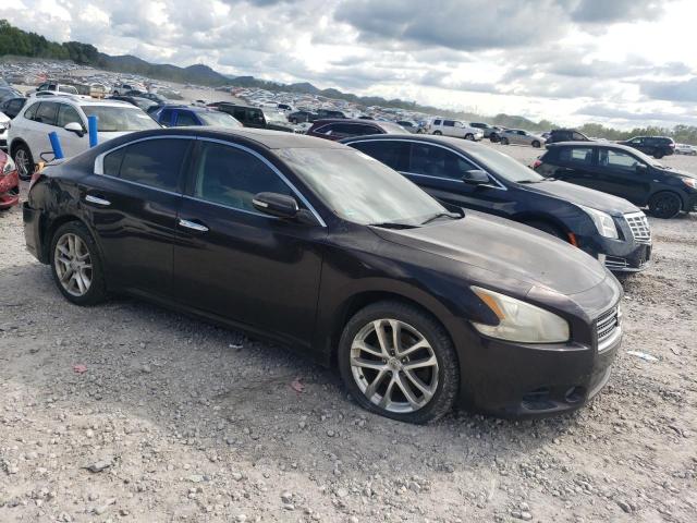 1N4AA5AP3AC839558 - 2010 NISSAN MAXIMA S PURPLE photo 4