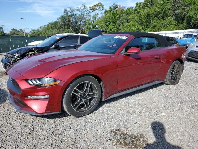 2019 FORD MUSTANG, null