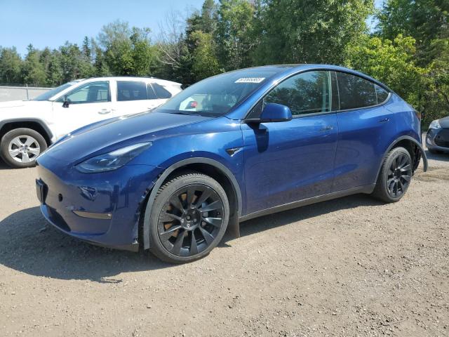 2021 TESLA MODEL Y, 