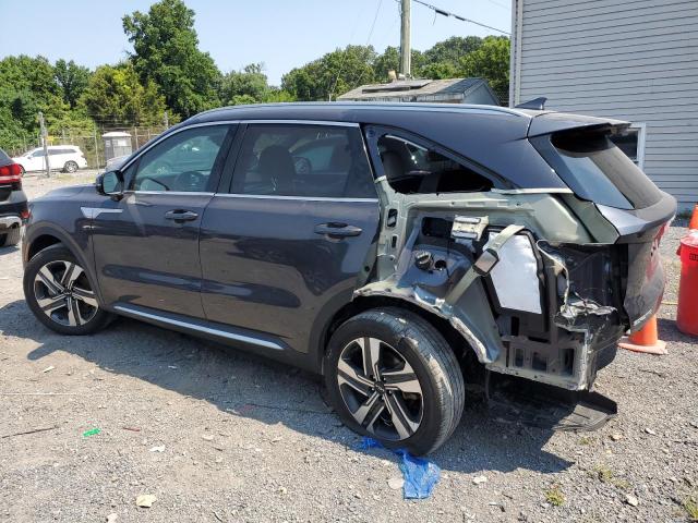 KNDRHDLG4P5195064 - 2023 KIA SORENTO EX 灰色 照片 2