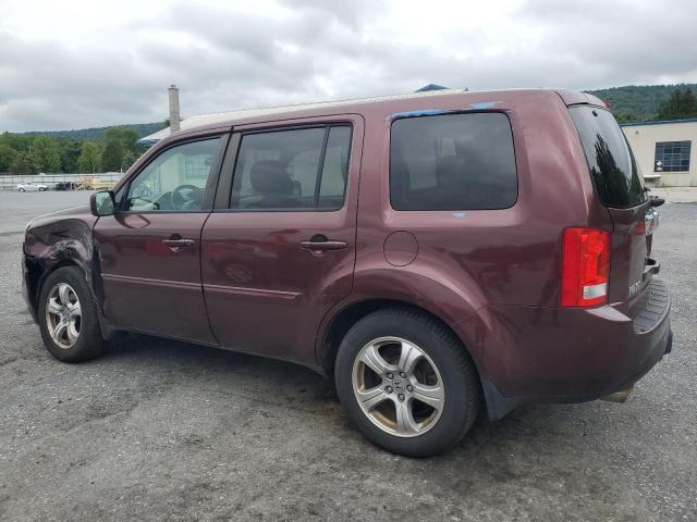 5FNYF4H52DB021691 - 2013 HONDA PILOT EXL برغندي صورة 2