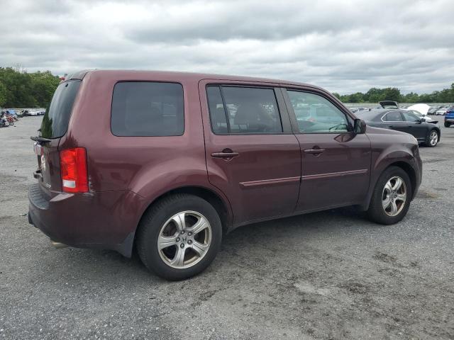 5FNYF4H52DB021691 - 2013 HONDA PILOT EXL برغندي صورة 3