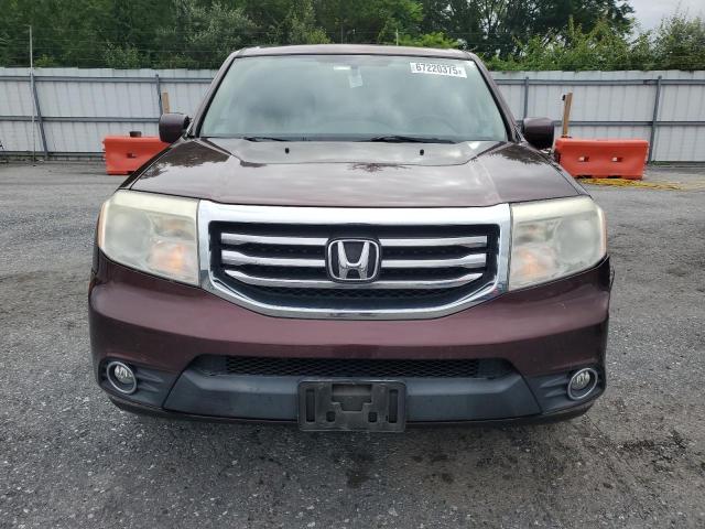 5FNYF4H52DB021691 - 2013 HONDA PILOT EXL برغندي صورة 5
