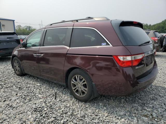 5FNRL5H65CB069177 - 2012 HONDA ODYSSEY EXL 勃艮第红 照片 2