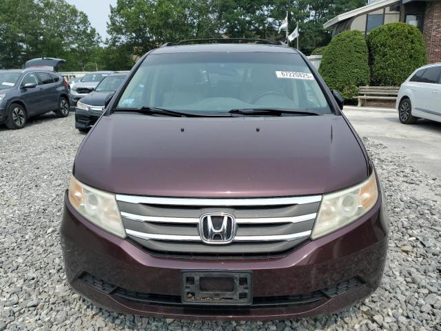 5FNRL5H65CB069177 - 2012 HONDA ODYSSEY EXL 勃艮第红 照片 5