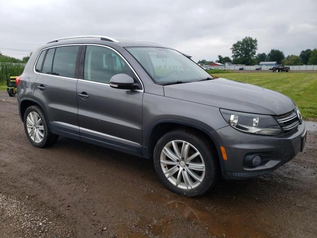 WVGAV7AX1DW537307 - 2013 VOLKSWAGEN TIGUAN S Boz foto 4