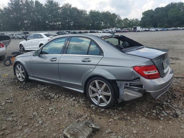 WDDGF8AB7EA956174 - 2014 MERCEDES-BENZ C 300 4MATIC SILVER photo 2